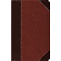 Esv Thinline Bible, Trutone, Brown/cordovan, Portfolio Design,  Red Letter Text [Imitation Leather]