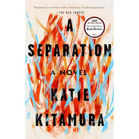 A Separation: A Novel [Paperback]
