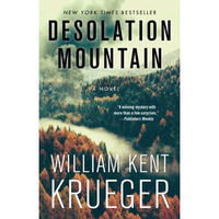 Desolation Mountain: A Novel [Paperback]
