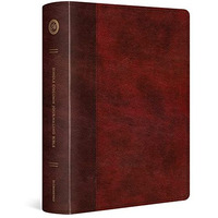 ESV Single Column Journaling Bible, Large Print (TruTone, Burgundy/Red, Timeless [Unknown]
