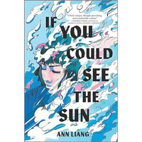 If You Could See the Sun [Hardcover]