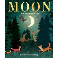 Moon: A Peek-Through Picture Book [Hardcover]