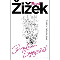 Surplus-Enjoyment: A Guide For The Non-Perplexed [Paperback]