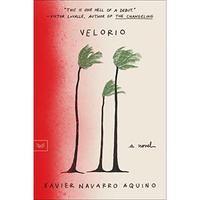 Velorio: A Novel [Paperback]