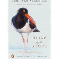 Birds by the Shore: Observing the Natural Life of the Atlantic Coast [Paperback]