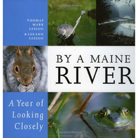 By a Maine River: A Year of Looking Closely [Hardcover]