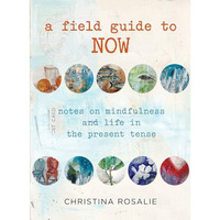 Field Guide to Now: Notes On Mindfulness And Life In The Present Tense [Hardcover]