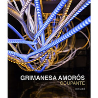 Grimanesa Amorós: Ocupante [Hardcover]