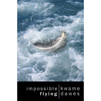 Impossible Flying [Paperback]