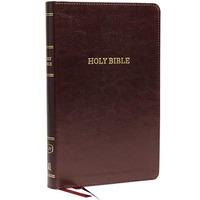 KJV Holy Bible: Deluxe Thinline with Cross References, Burgundy Leathersoft, Red [Leather / fine bindi]