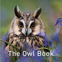 The Owl Book [Hardcover]