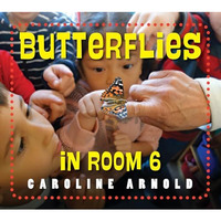 Butterflies in Room 6: See How They Grow [Paperback]