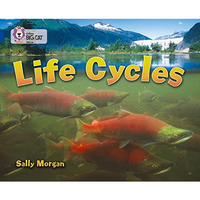 Life Cycles [Paperback]