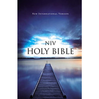 NIV, Value Outreach Bible, Paperback [Paperback]