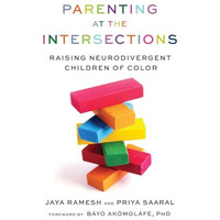 Parenting At The Intersections           [TRADE PAPER         ]