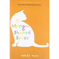 A Mango-Shaped Space [Paperback]
