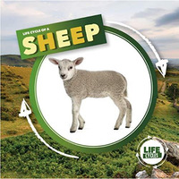 Life Cycle of a Sheep [Hardcover]