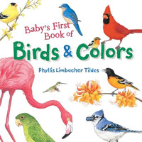 Baby's First Book of Birds & Colors [Board book]