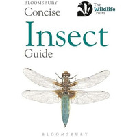 Concise Insect Guide [Paperback]