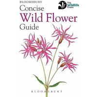 Concise Wild Flower Guide [Paperback]