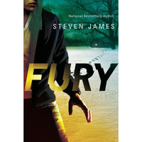Fury (blur Trilogy) [Paperback]