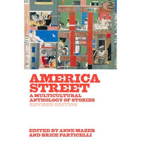 America Street: A Multicultural Anthology of Stories [Paperback]