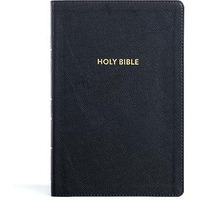 KJV Rainbow Study Bible, Black LeatherTouch, Indexed [Unknown]
