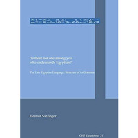 Is there not one among you who understands Egyptian?: The Late Egyptian Langua [Paperback]