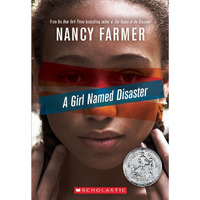 A Girl Named Disaster [Paperback]