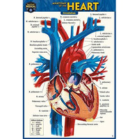 Anatomy of the Heart (Pocket-Sized Edition - 4x6 inches) [Fold-out book or cha]