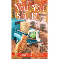 Now You See It [Paperback]