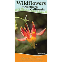 Wildflowers of Northern California: Your Way to Easily Identify Wildflowers [Spiral bound]