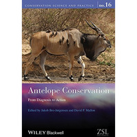 Antelope Conservation: From Diagnosis to Action [Hardcover]