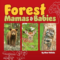 Forest Mamas & Babies [Board book]