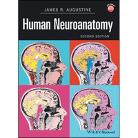 Human Neuroanatomy [Hardcover]