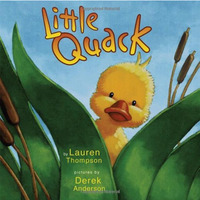 Little Quack [Board book]