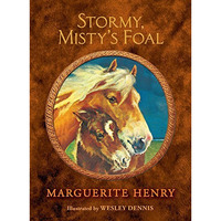 Stormy, Misty's Foal [Hardcover]