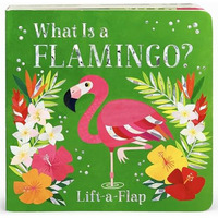 What Is A Flamingo?                      [CLOTH               ]