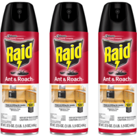 Raid Ant  Roach Killer 26 Fragrance Free 17.5 Oz -Pack of 3