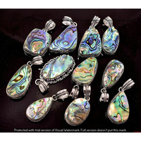 Abalone Shell 5 Pcs Wholesale Lot 925 Sterling Silver Plated Jewelry NP-17-420