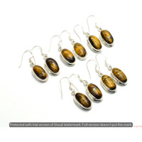 Tiger Eye 20 Pair Wholesale Lot 925 Sterling Silver Earring NLE-1192