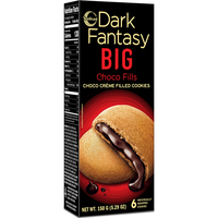 Case of 36 - Sunfeast Dark Fantasy Choco Fills Big - 150 Gm (5.29 Oz)