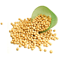 Nirav Yellow Whole Peas (White Vatana) - 4 lbs (4 lbs bag)