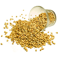 Nirav Coriander Seeds (Dhania) - 7 oz (7 oz bag)