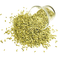 Nirav Fennel Seeds - 14 oz (14 oz bag)