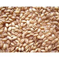 Haleem Wheat (Peeled Wheat) (2 lb bag)