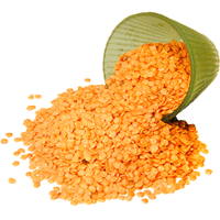 Nirav Masoor Dal (Red Lentil) - 4 lbs - PACK of 6 (6 x 4 lbs bag)