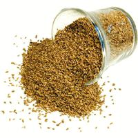 Nirav Ajwan (Carom) Seeds - 14 oz - Pack of 10 (10 x 14 oz bag)