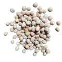 Radhey White Soya Bean