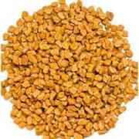 3 River Fenugreek Seeds
